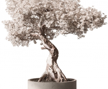 Modern Tree Pool-ID:561175116