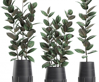Modern Ground Green Plant Potted Plants-ID:813950067