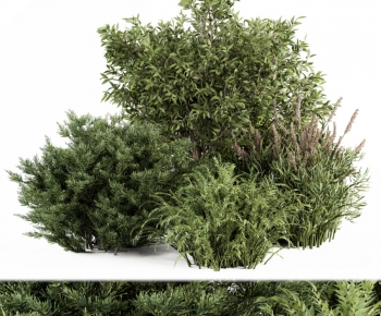 Modern Shrubbery-ID:674700029