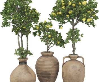 Wabi-sabi Style Ground Green Plant Potted Plants-ID:401690966