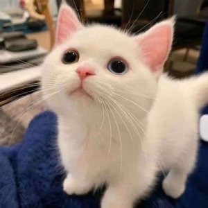 ModernModern Wallpaper