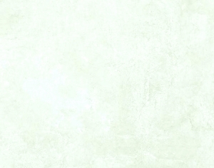 墙面硅藻泥涂料乳胶漆-ID:849070073