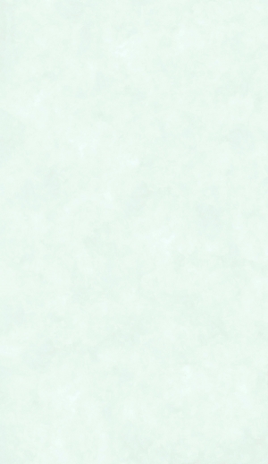 墙面硅藻泥涂料乳胶漆-ID:812062031