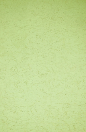 墙面乳胶漆硅藻泥肌理-ID:966671946