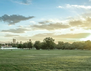 ModernNature Texture