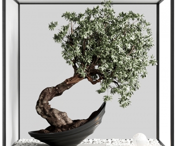 Modern Plant Landscaping-ID:436453105