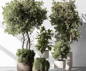 Modern Ground Green Plant Potted Plants-ID:422336109
