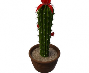 Modern Ground Green Plant Potted Plants-ID:797379023