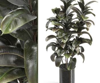 Modern Ground Green Plant Potted Plants-ID:950360065