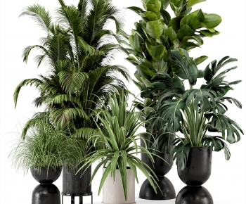现代落地绿植盆栽组合-ID:525962113
