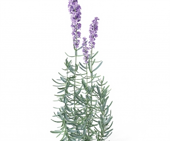 Modern Flowers And Grass-ID:689368963