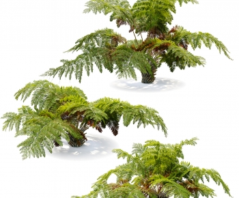 Modern Plant-ID:619834904