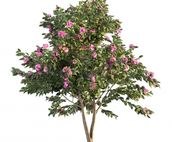 Modern Tree-ID:711019044