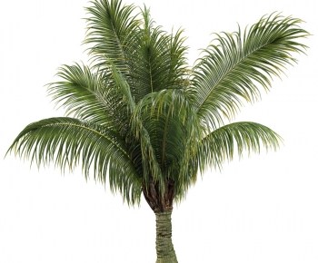 Modern Tree-ID:491126065