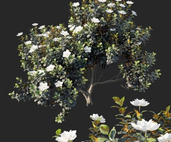 Modern Tree-ID:314295059