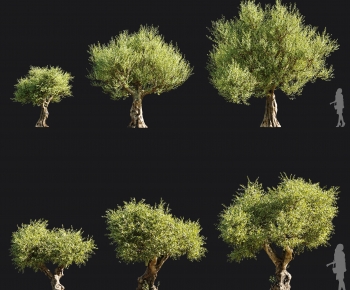 Modern Tree-ID:714427953