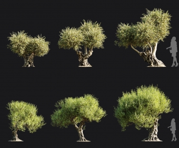 Modern Tree-ID:648775107