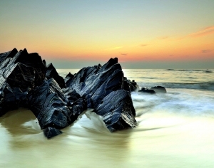 ModernNature Texture