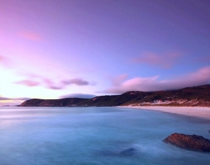 ModernNature Texture