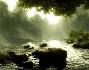 ModernNature Texture