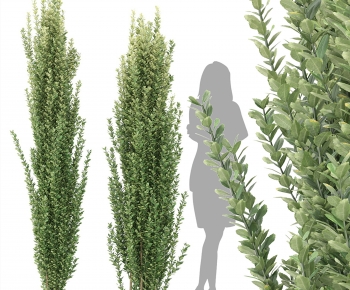 Modern Shrubbery-ID:725820173