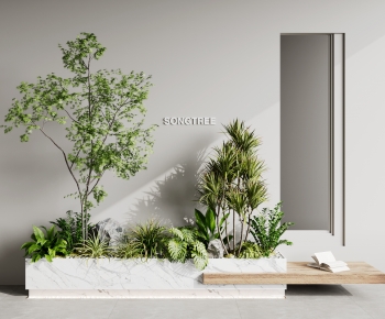 Modern Plant Landscaping-ID:769153124