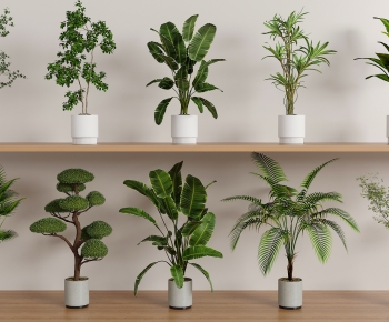 现代落地绿植盆栽组合-ID:149730928