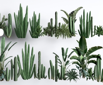 Modern Plant-ID:213686942