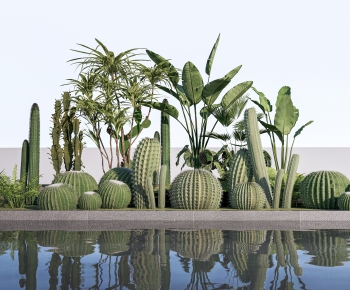 现代仙人掌景观植物小品-ID:277651076