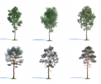 Modern Tree-ID:508670884