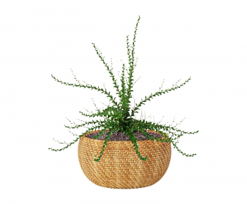 Modern Potted Green Plant-ID:933204893