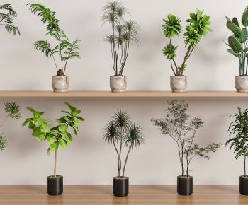 现代落地绿植盆栽组合-ID:272464045