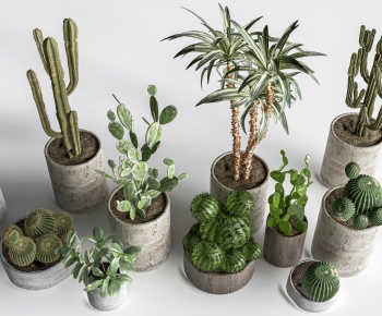 现代仙人掌落地绿植盆栽组合-ID:397579777