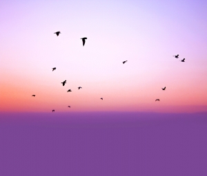 天空外景-ID:289753911
