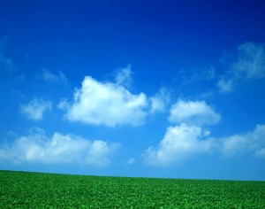 天空外景-ID:973633053