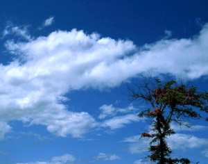 天空外景-ID:131539115