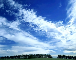 天空外景-ID:519587999