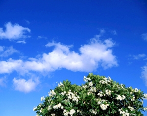 天空外景-ID:511317976