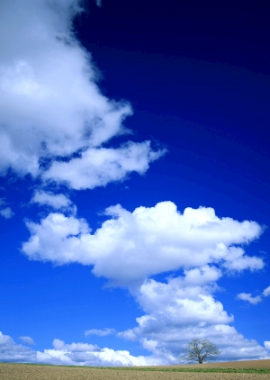 天空外景-ID:567915925