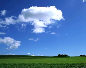 天空外景-ID:768167025