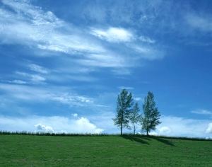天空外景-ID:848993061