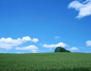 天空外景-ID:279928924