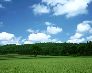 天空外景-ID:581631903