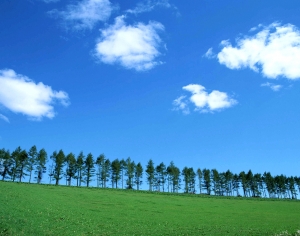 天空外景-ID:155455117