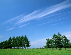 天空外景-ID:253362894