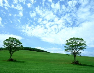 天空外景-ID:169002062