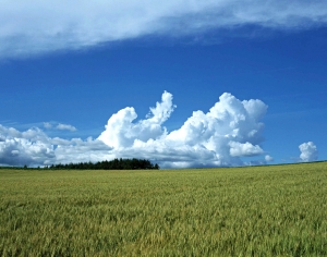 天空外景-ID:170867926