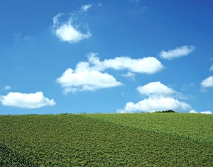天空外景-ID:147335057