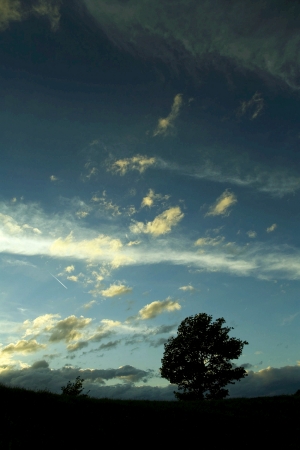 天空外景-ID:475476036