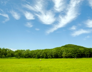 天空外景-ID:577114118